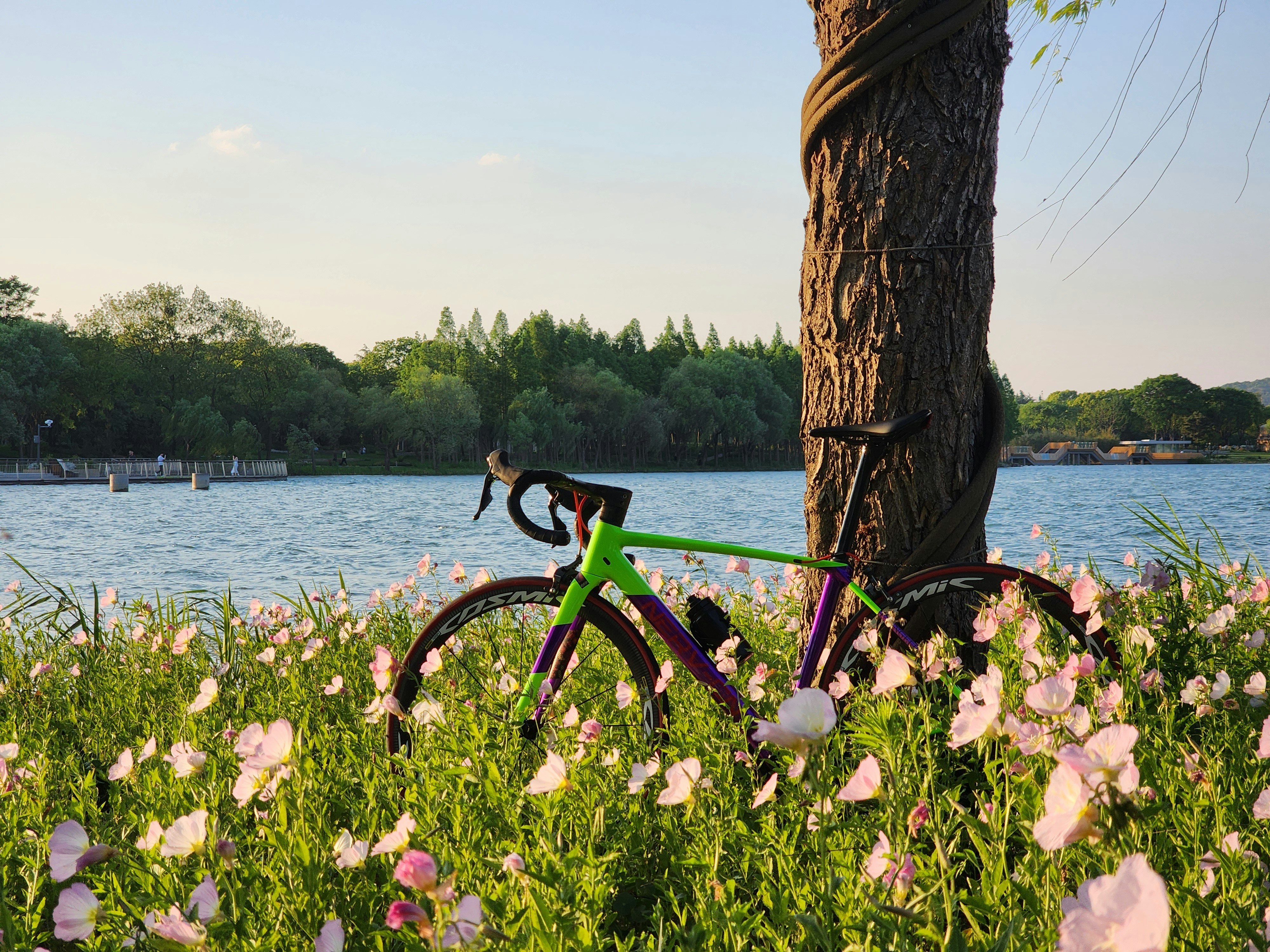 ロードバイクのイメージ