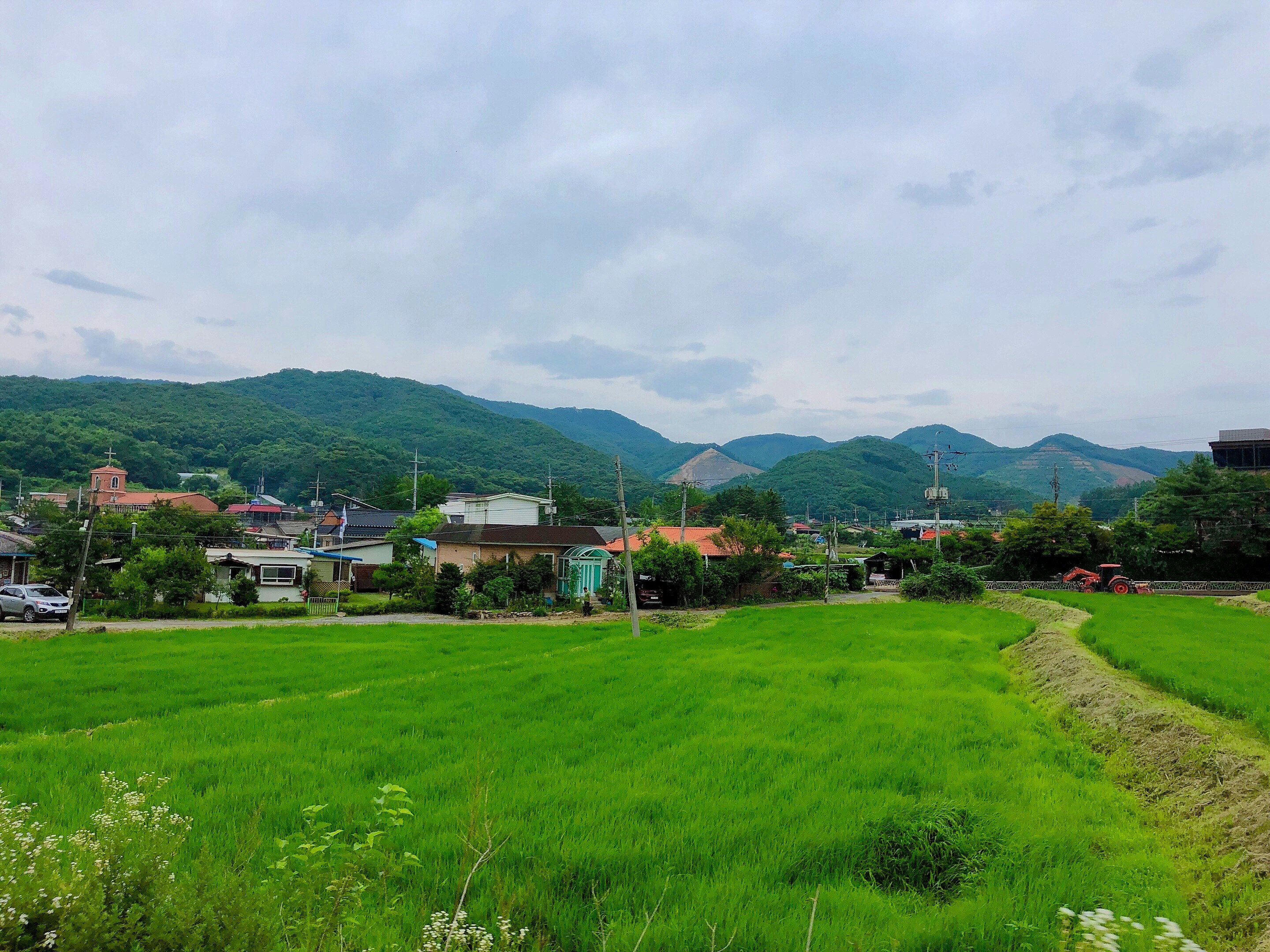 土地と中古戸建の現地見学(土地編) - 候補地の実地調査と周辺環境の確認